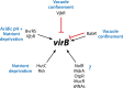 FIG 6