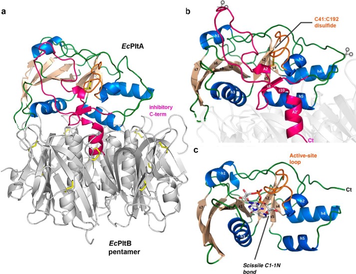 Figure 6.