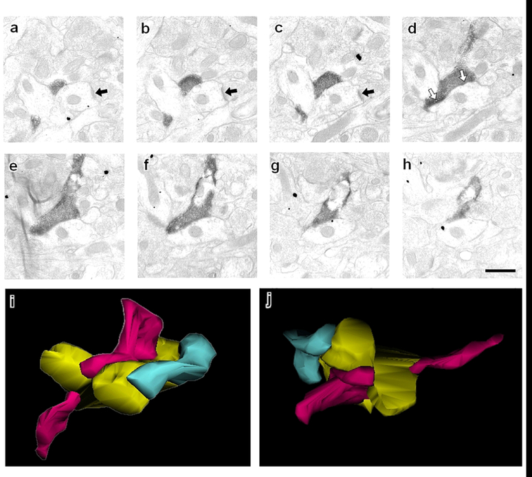 Figure 5: