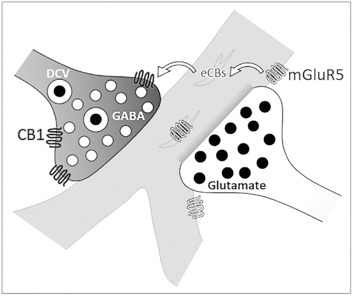 Figure 6: