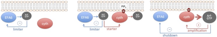 Fig. 4.