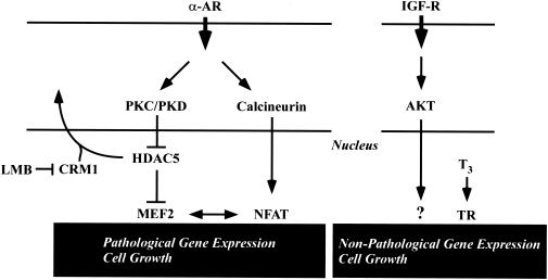 FIG. 9.