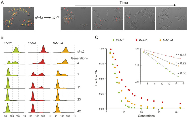 Fig. 2.