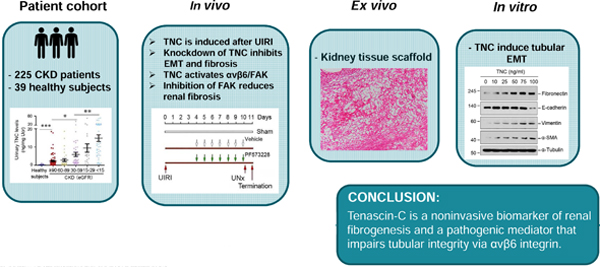 graphic file with name nihms-1568789-f0001.jpg