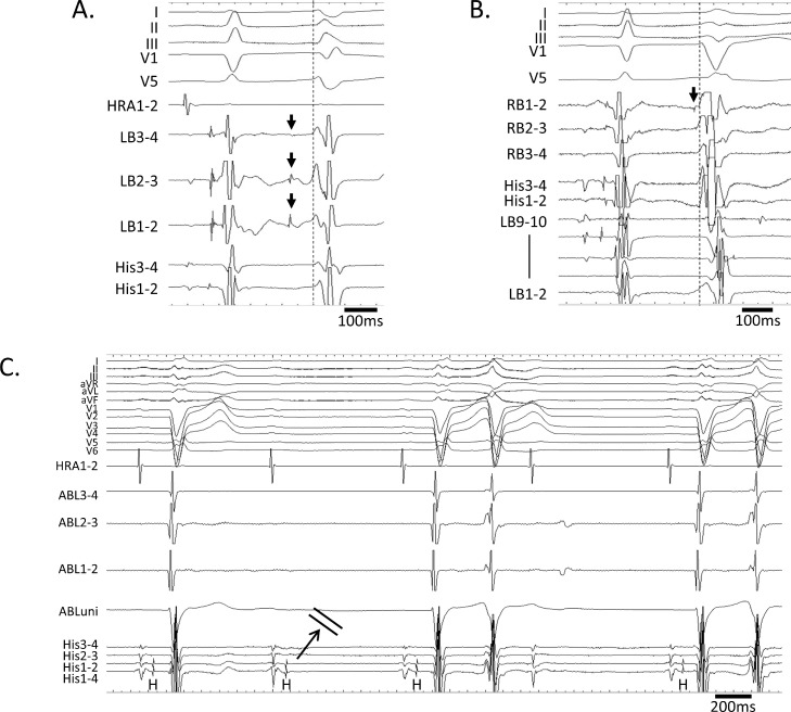 Fig 3: