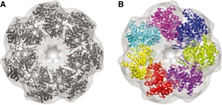 Fig. 3.