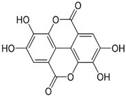 graphic file with name nutrients-16-03423-i010.jpg