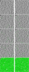 Fig. 3