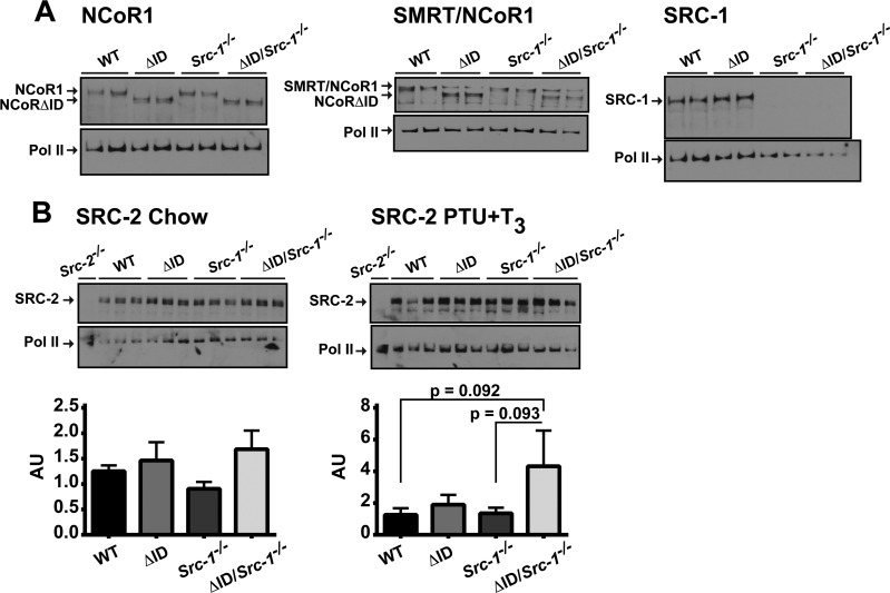 FIG 6