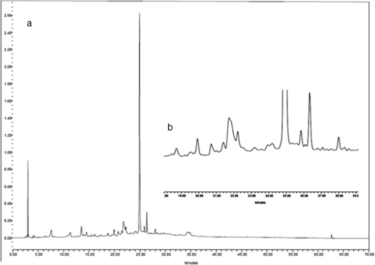 Fig. 1