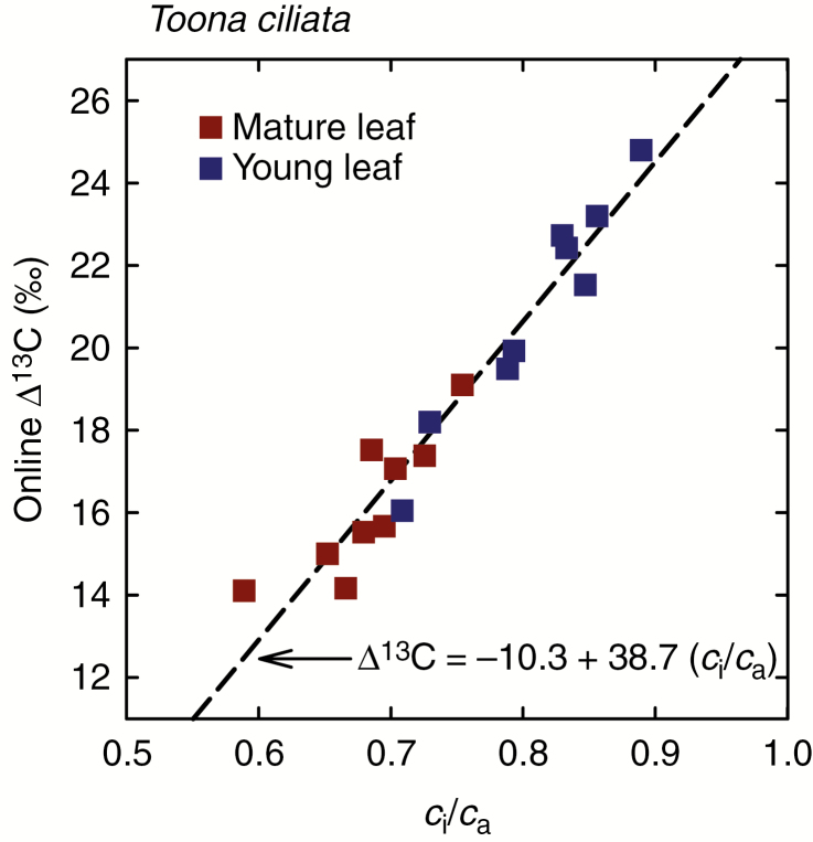 Fig. 6.