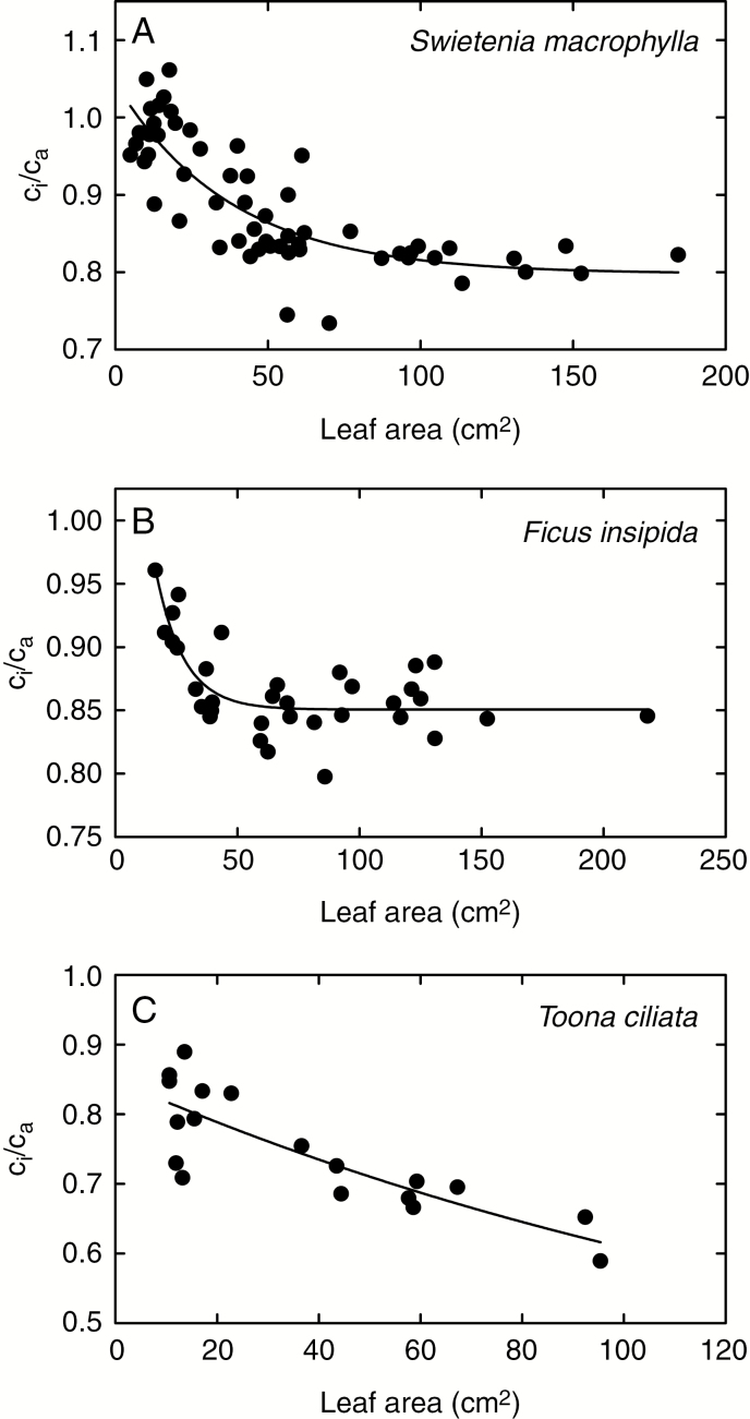 Fig. 5.