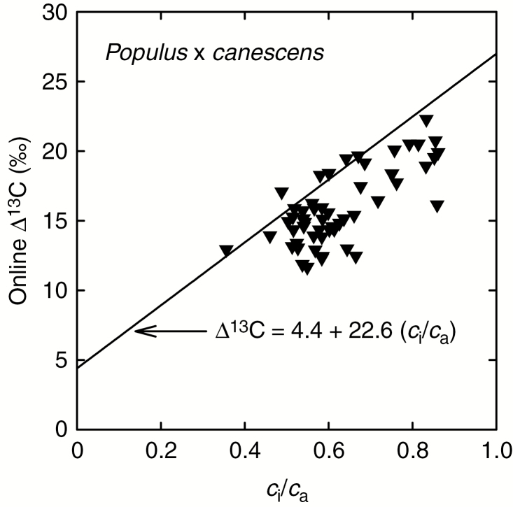 Fig. 8.