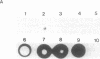 1056