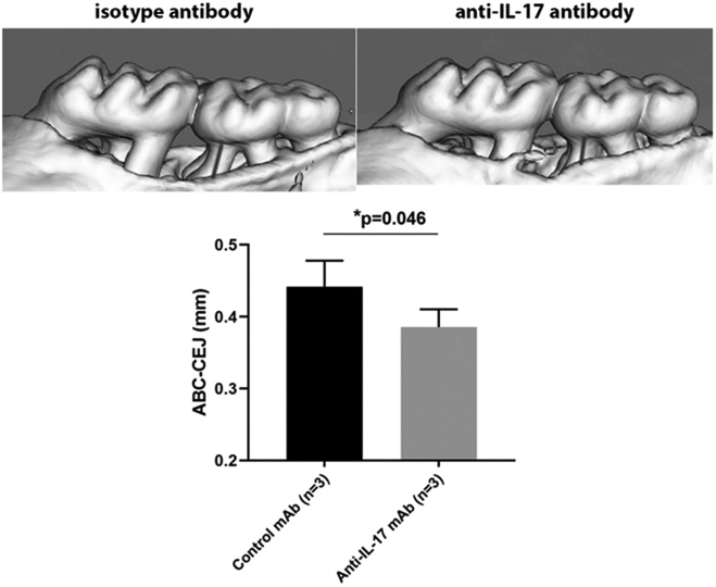 FIGURE 7.