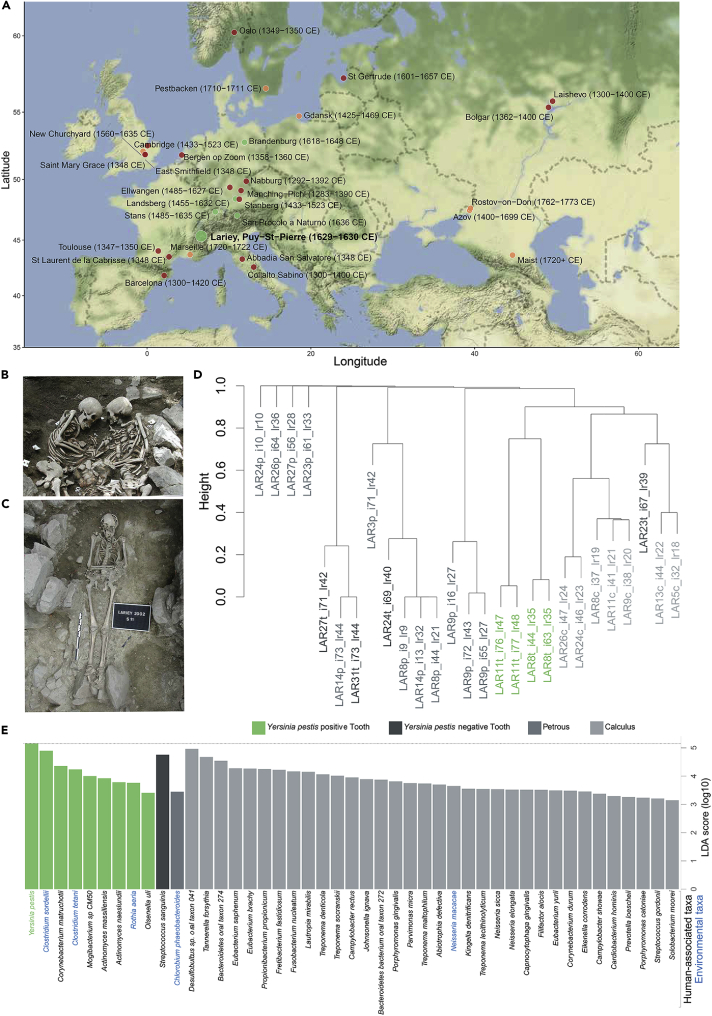 Figure 1