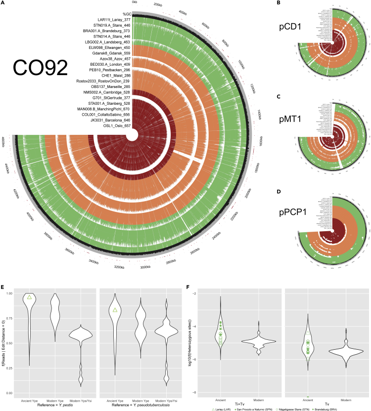 Figure 2