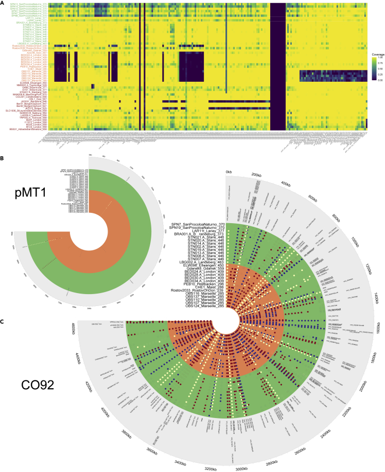 Figure 4