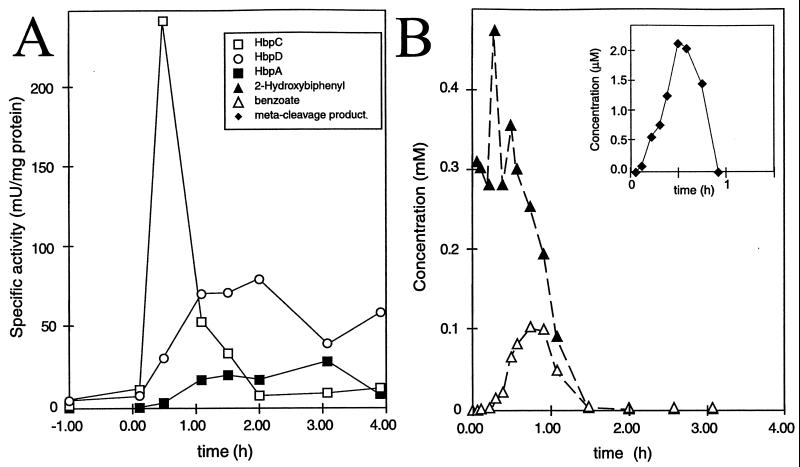 FIG. 6