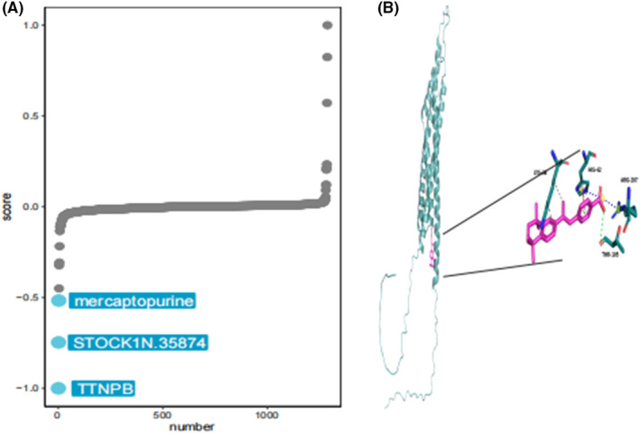 FIGURE 11