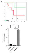 Fig.4