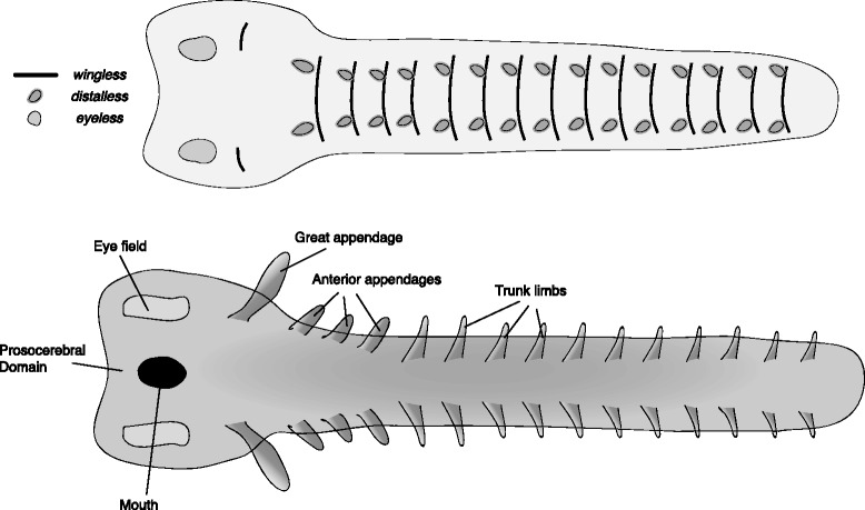 Fig. 9