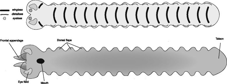 Fig. 3