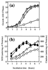 FIG. 5