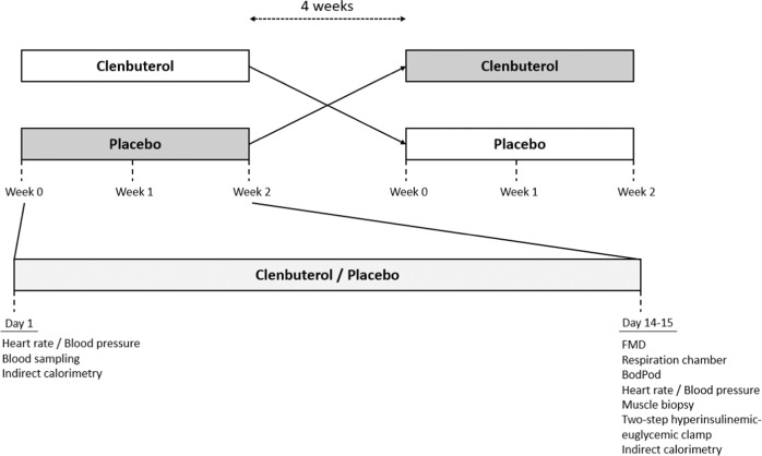 Fig. 9