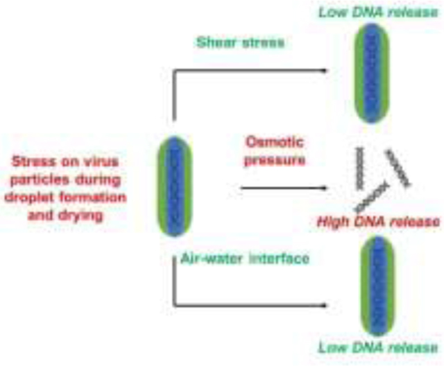 graphic file with name nihms-1950275-f0006.jpg