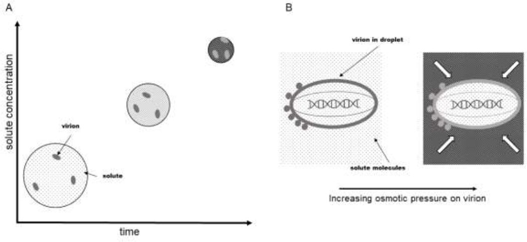 Figure 3 –