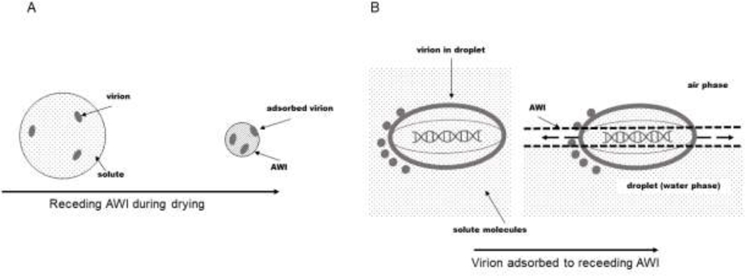 Figure 2 –