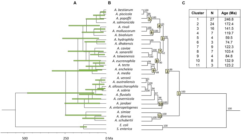 FIGURE 2