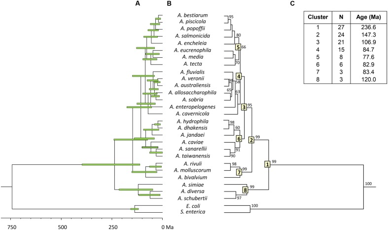 FIGURE 3