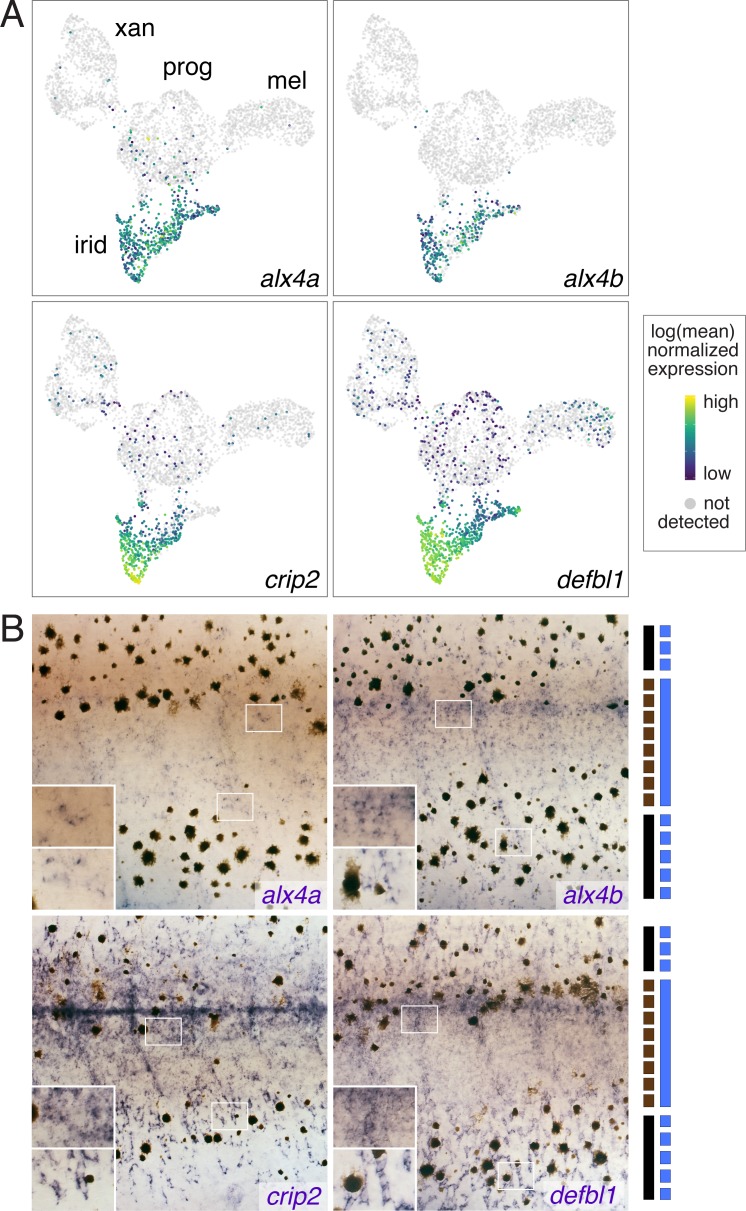 Figure 3—figure supplement 3.