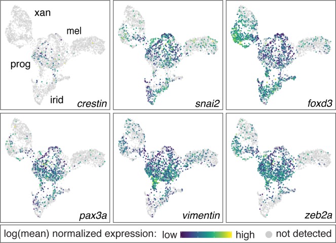 Figure 2—figure supplement 3.