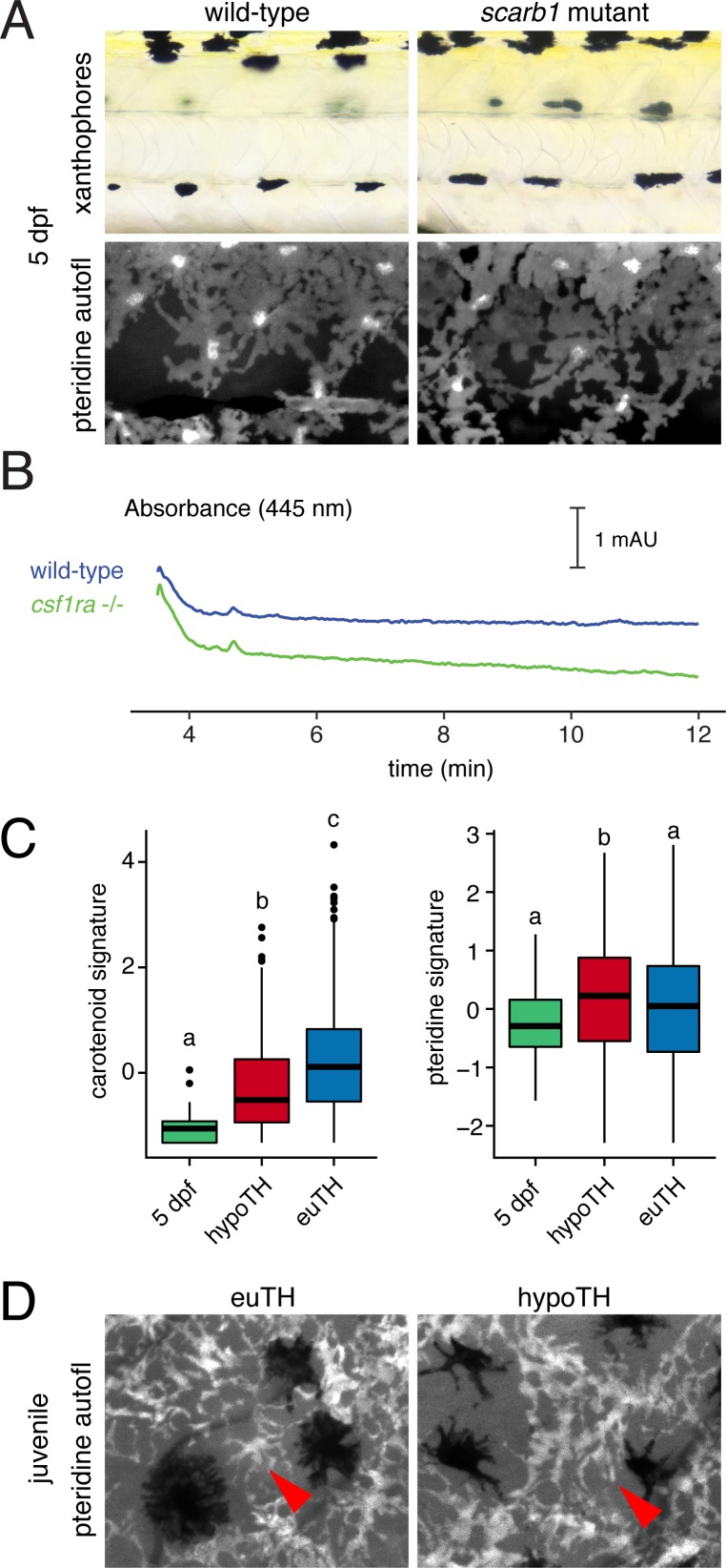 Figure 6—figure supplement 4.