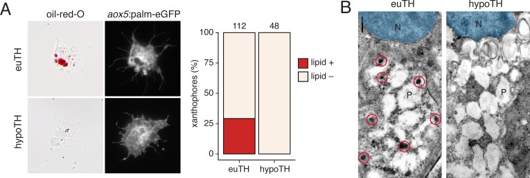 Figure 6—figure supplement 2.