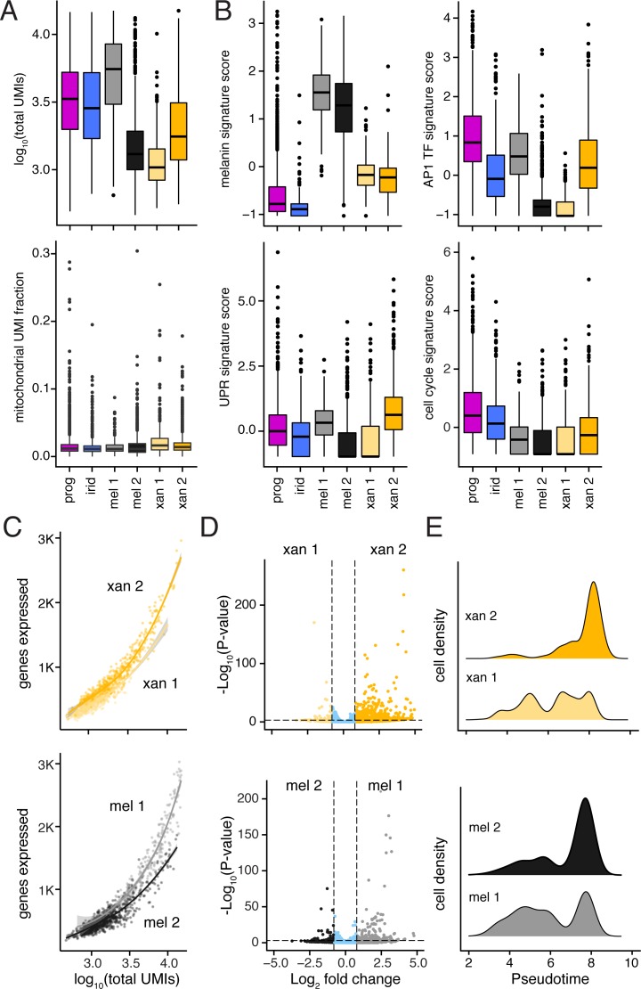 Figure 3—figure supplement 1.