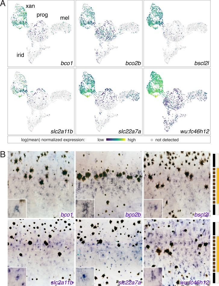 Figure 3—figure supplement 2.