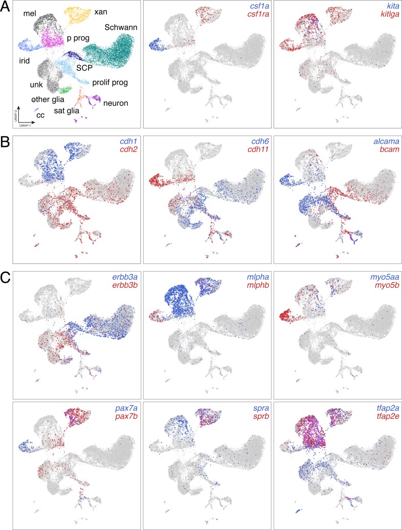 Figure 2—figure supplement 4.