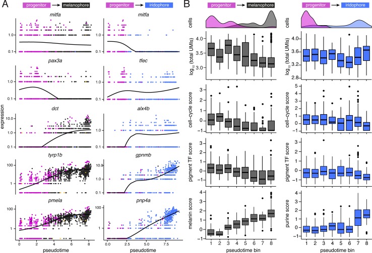 Figure 3—figure supplement 5.