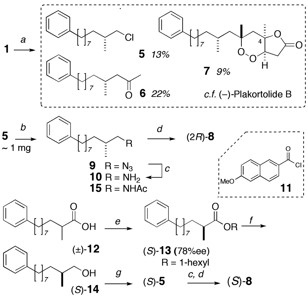 Scheme 1