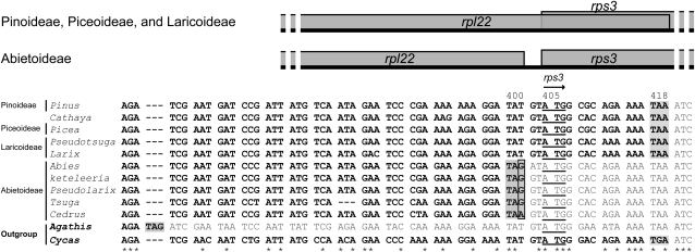 FIG. 4.—