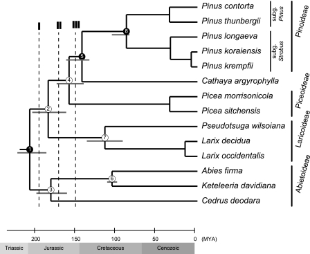 FIG. 6.—