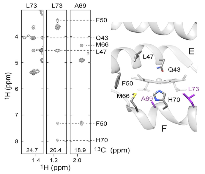 Figure 9.