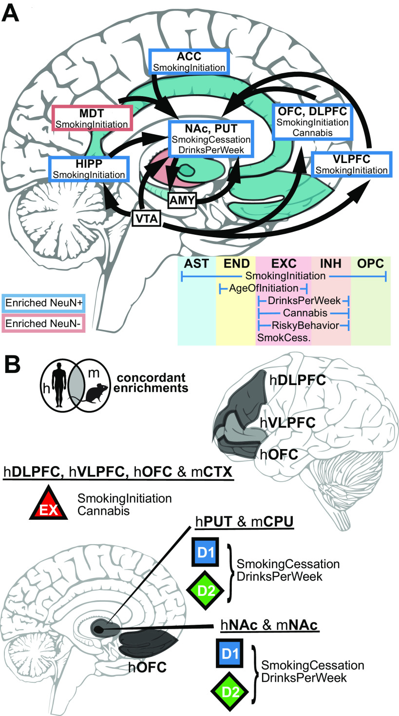 Figure 11.