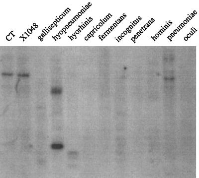 FIG. 6