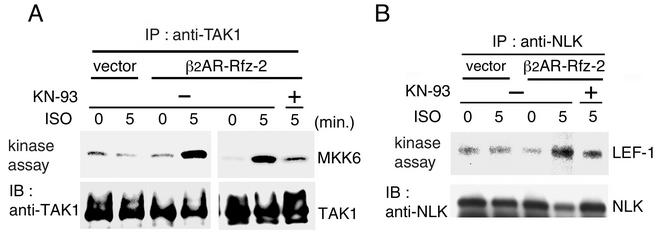 FIG. 7.