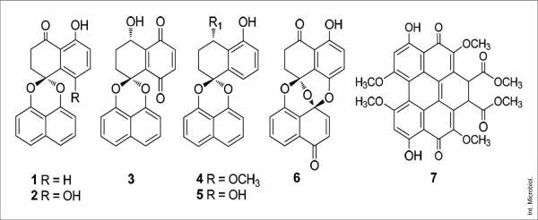 Fig. 1